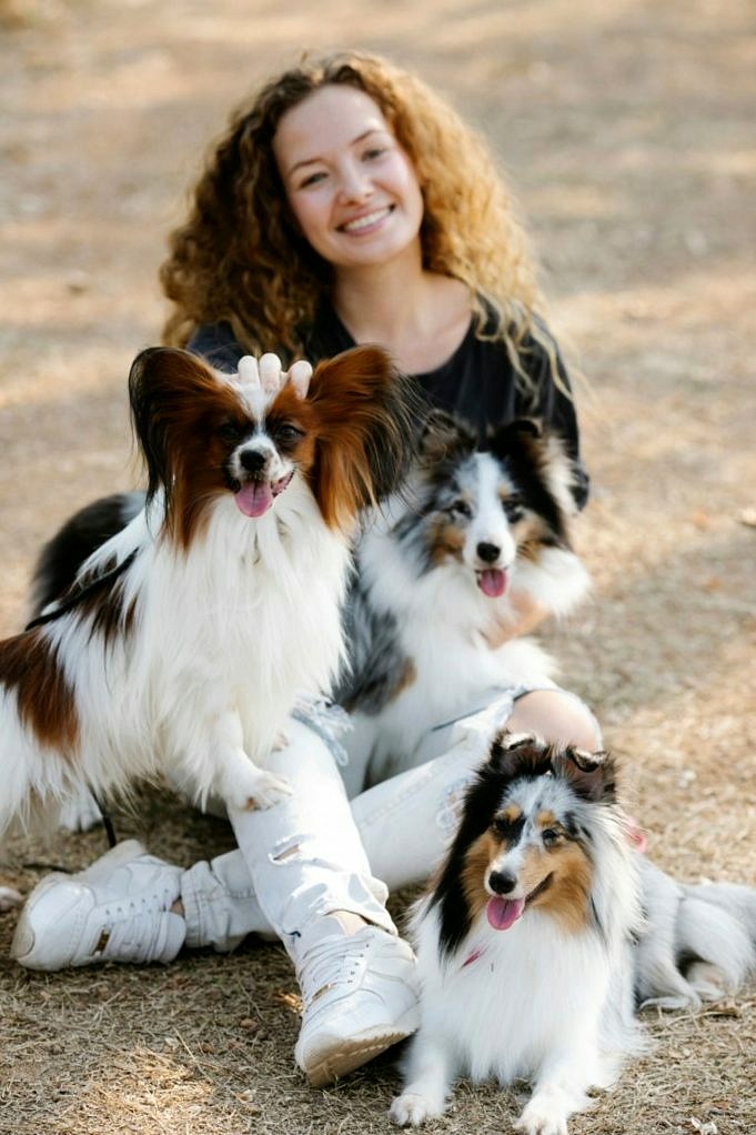 6 Siti Di Addestramento Per Cani Online Addestra Il Tuo Cucciolo A Casa