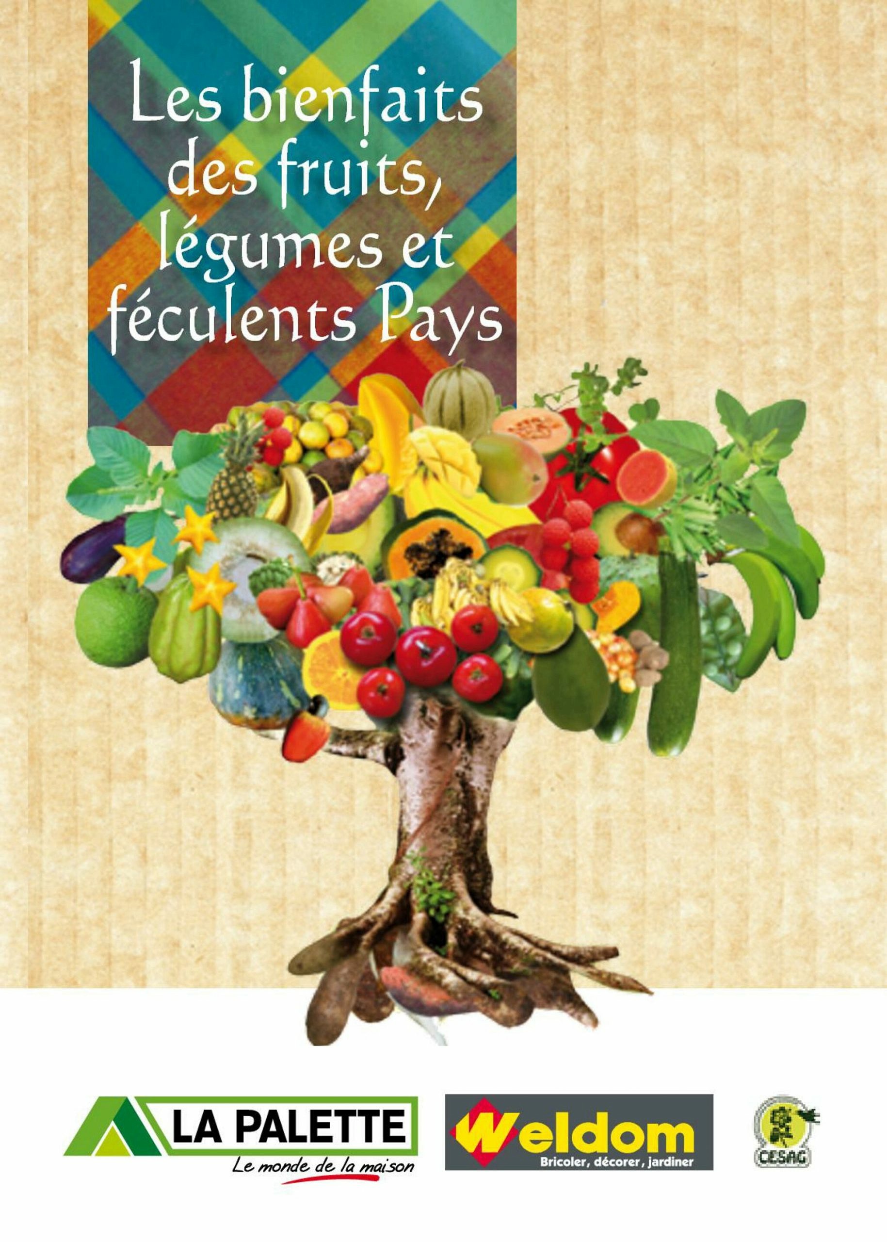 Fruits Et Legumes Feculents